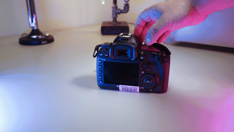 0U2A0151 (2).gif