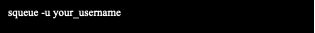 Text Box: squeue -u your_username