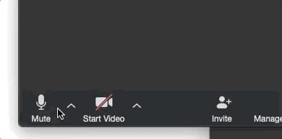mute zoom