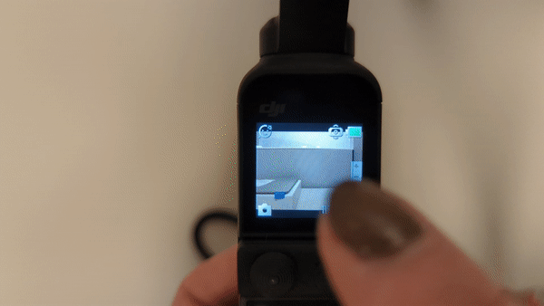 playback_viewer.gif
